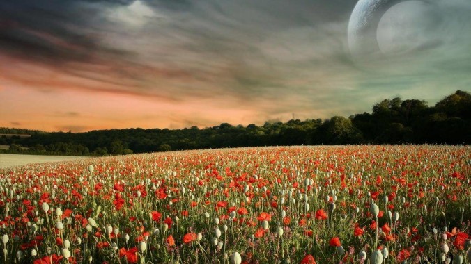 梅州市网站建设_网站建设公司_网站建设设计制作_seo优化